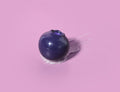 Choc Choc Natural Moisture Lip Balm Blueberry